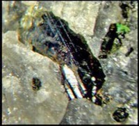 /album/galerie-photos/graoueres-p1-axinite-tourmaline-5312-mod2-jpg1/